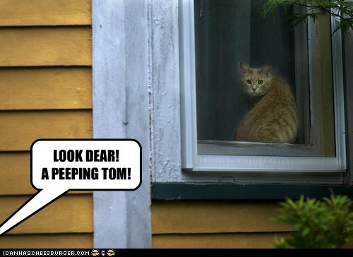 LOOK DEAR! 