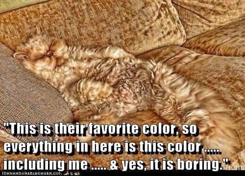 "This is their favorite color, so everything in here is this color ..... including me ..... & yes, it is boring."