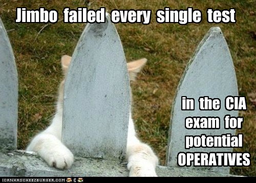 Jimbo  failed  every  single  test
