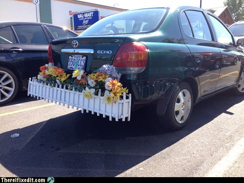 No Watering Needed