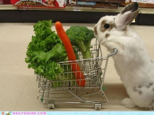 Daily Squee: Bunday: Super Market 