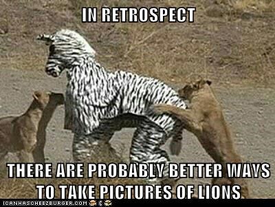 Animal Capshunz: Like Making the Intern Wear the Zebra Suit