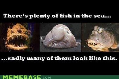 The Sea is Gross