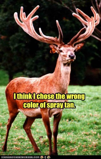 I Said "Sunkissed and Hooved" Not "Burned Orange and Obvious".