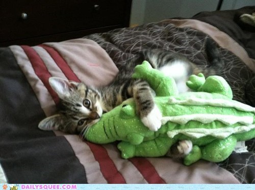 Reader Squee: Gator Wrasslin'