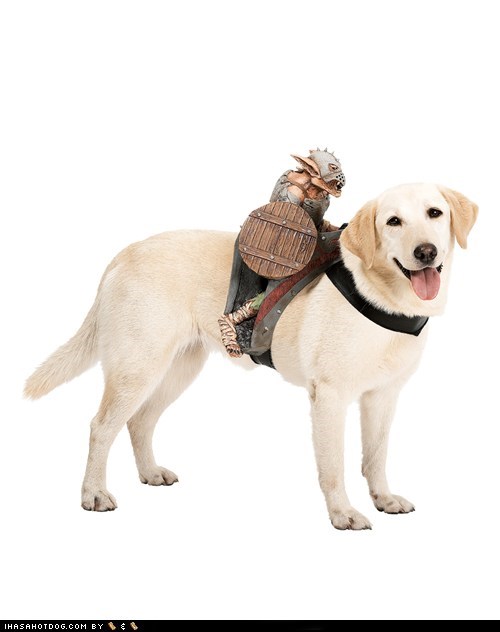 Goggie Swag: Goblin Rider Costume 