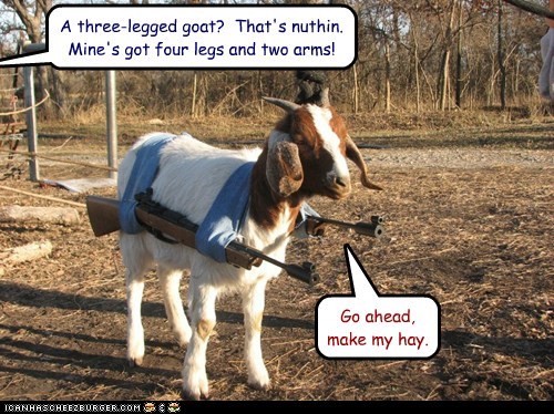 Animal Capshunz: Tickets to the Literal Gun Show