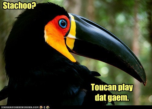 Stachoo?