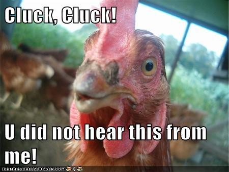 Cluck, Cluck!  U did not hear this from me!
