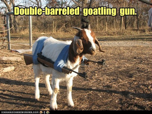 Animal Capshunz: Our Secret Weapon