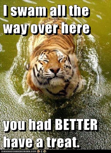 Or You Will Be the Treat