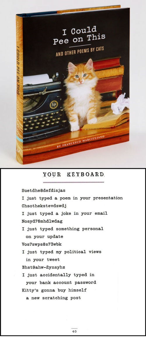 'I Could Pee on This and Other Poems by Cats': A Sampling of Cat Litterature