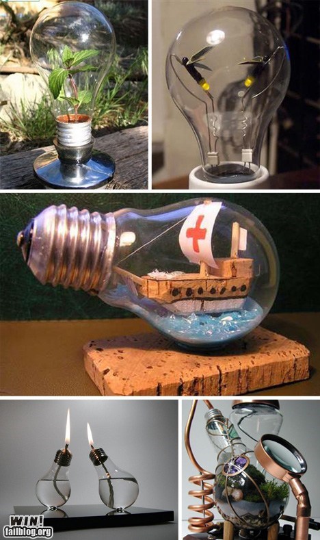 Light Bulbs WIN