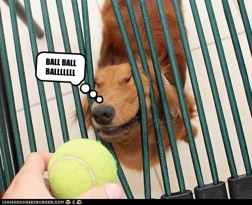 BALLLLLLL