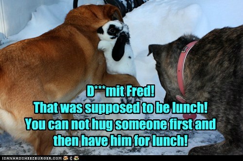 Bunnies R Fwends, Nawt Noms!