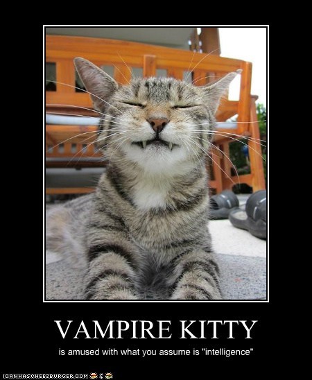 VAMPIRE KITTY