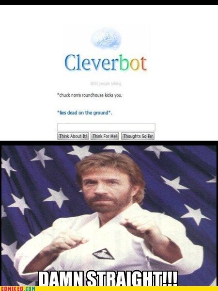 Let That Be a Lesson to all the Other Bots