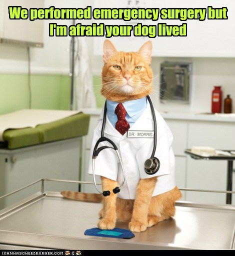 Lolcats: We performed emergency surgery 