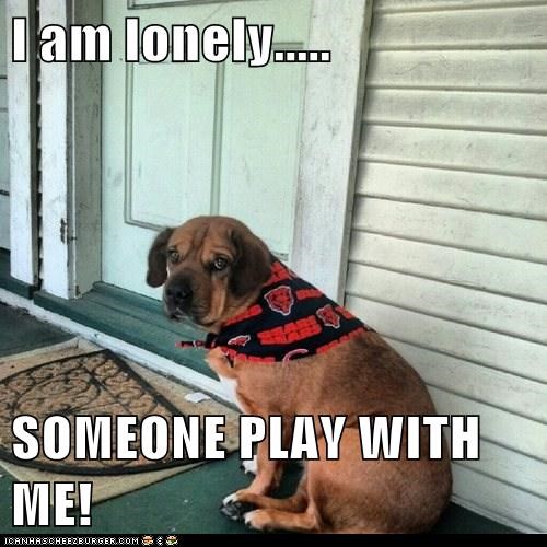 I am lonely.....  SOMEONE PLAY WITH ME!