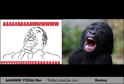 AAAWWW YYEEAA Man Totally Looks Like Monkey