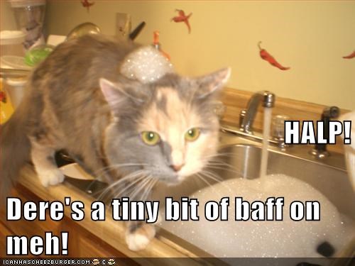 HALP! 