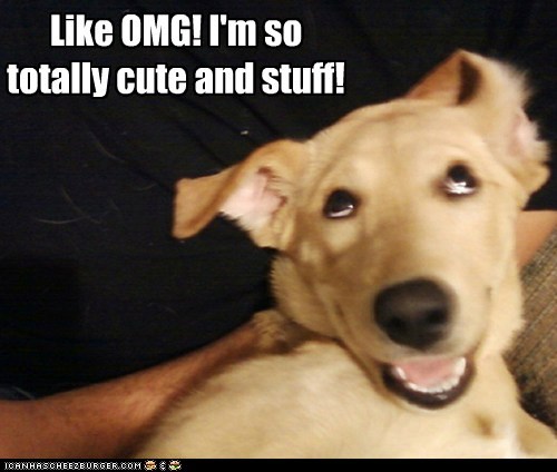 Like OMG!