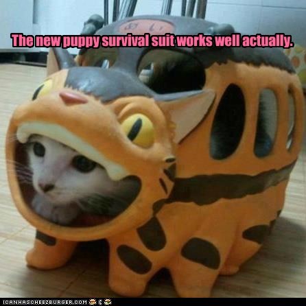 It would be better with canine seeking missiles but you can't have everything.