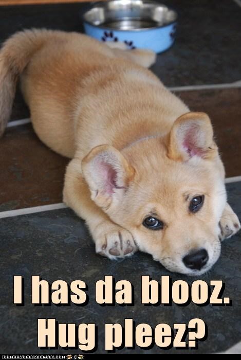 Hug pleez?
