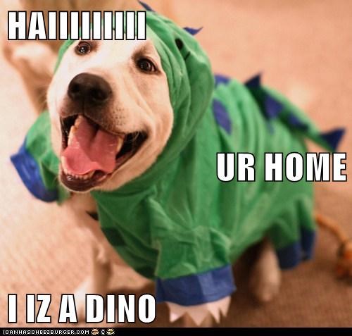 I iz a dino!