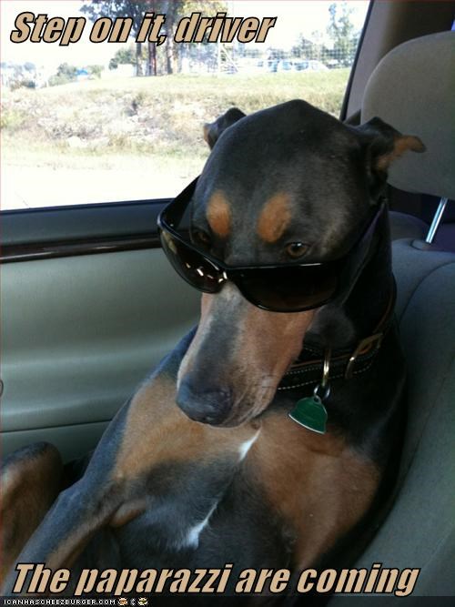 Dodging the Paparazzi 