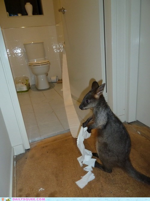 Messy House Guest 