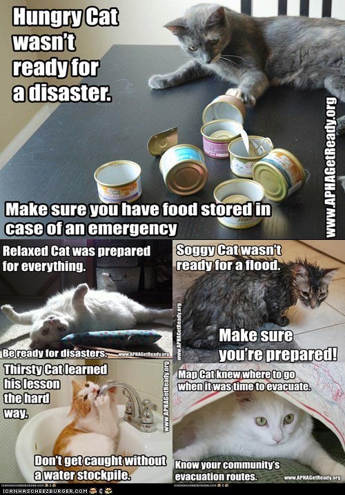 Get Ready Cats are Ready for National Preparedness Month