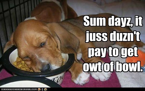 Sum dayz, it juss duzn't pay to get owt of bowl.