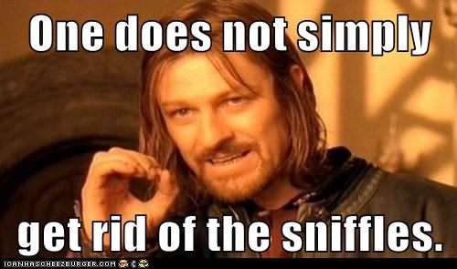 One does not simply  get rid of the sniffles.