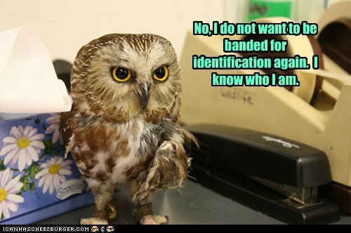 I Know What You Are Too.