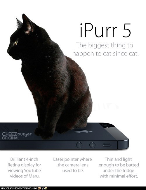 Introducing the iPurr 5