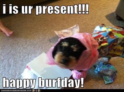 i is ur present!!!  happy burfday!