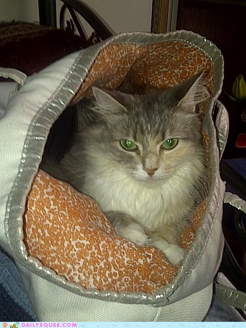 Reader Squee: Bag Full of Happy!
