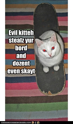 Evil kitteh stealz yur bord