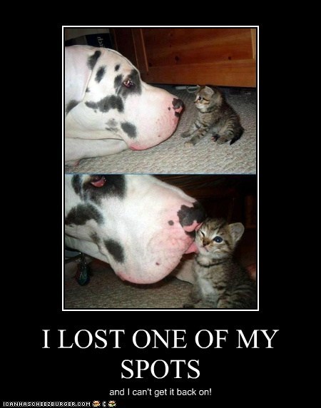 I LOST ONE OF MY SPOTS