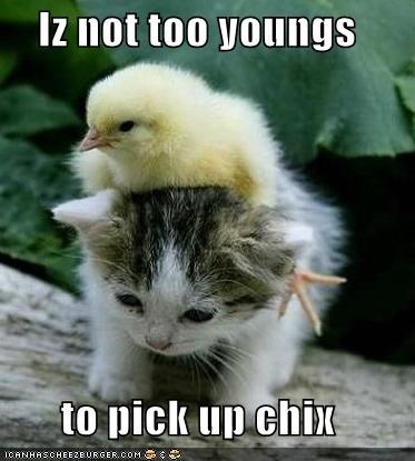 Iz not too youngs  to pick up chix