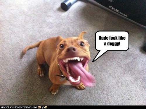 Steven Tyler Doggy Sings