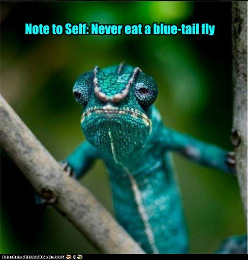 No More Camouflage for Me