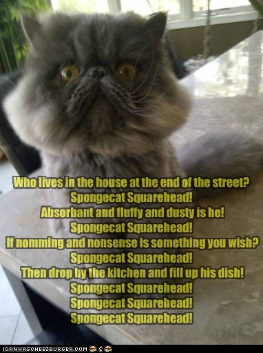 Spongecat Squarehead!