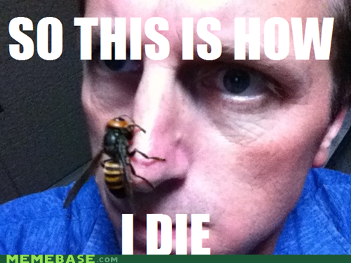 Or Make My New Best Friend
