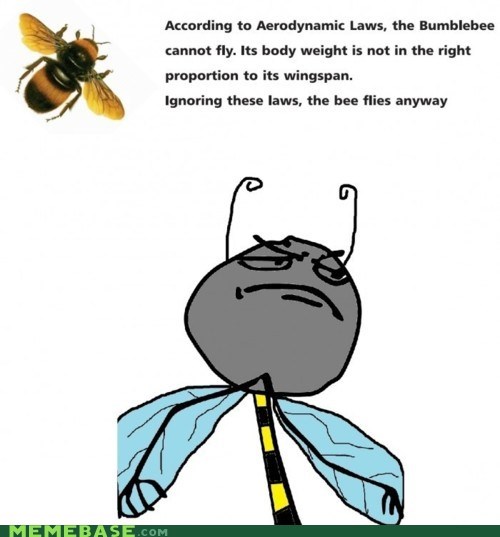 Eff Yeah Bees