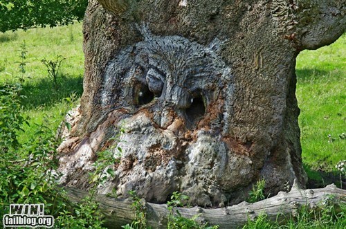 Owly Tree WIN
