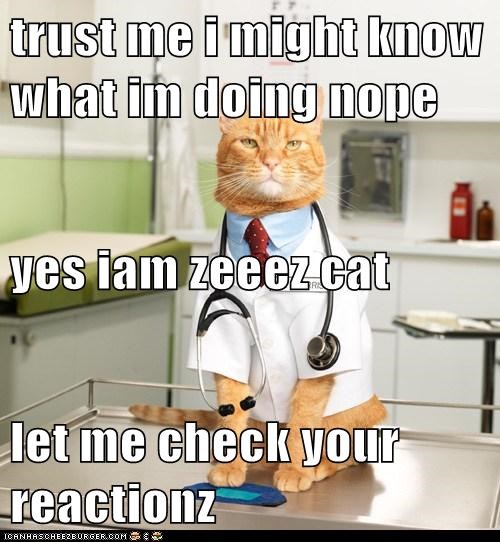 trust me i might know what im doing nope yes iam zeeez cat let me check your reactionz