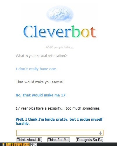 Cleverbot is a Teenage Girl