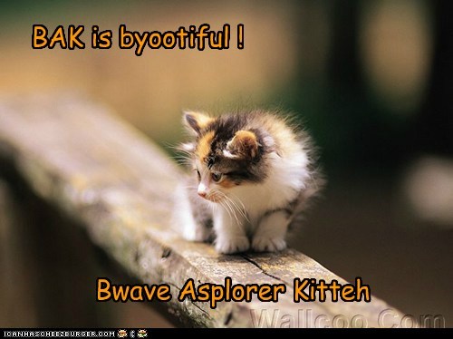 Bwave Asplorer Kitteh